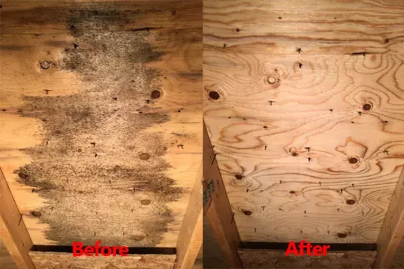 Mold Removal Before and After image