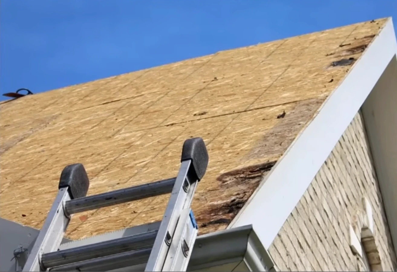 Mold removal technician on ladder inspecting roof damage and moisture intrusion in Gainesville, FL home